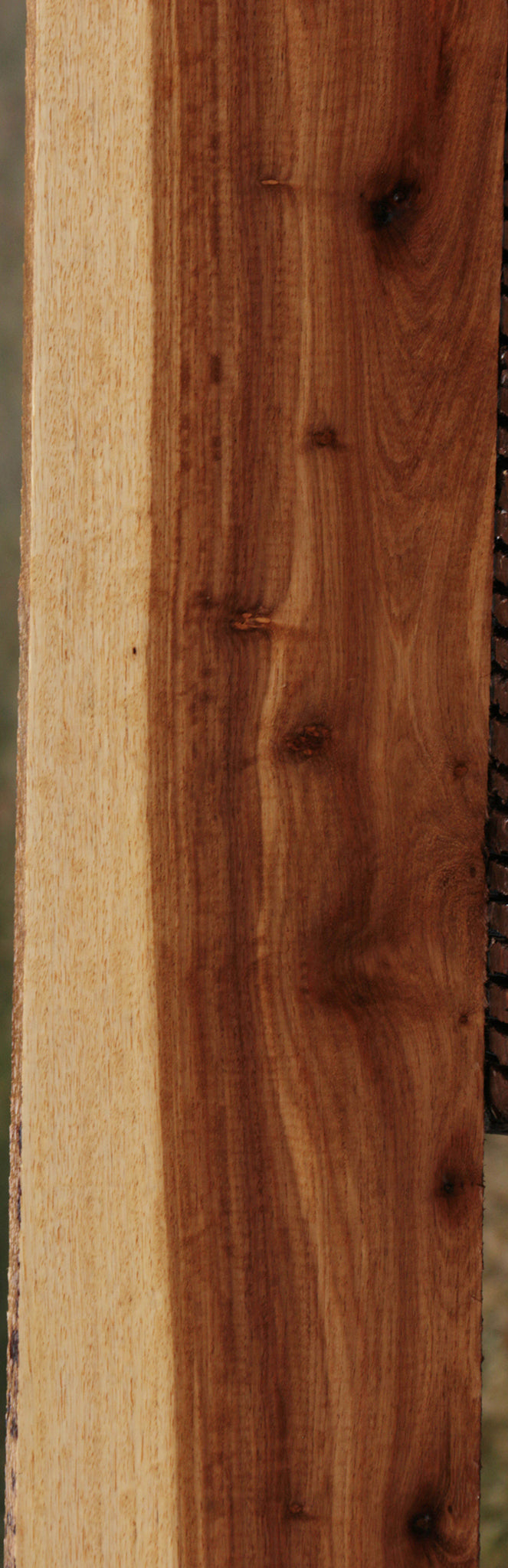 Tasmanian Blackwood Lumber