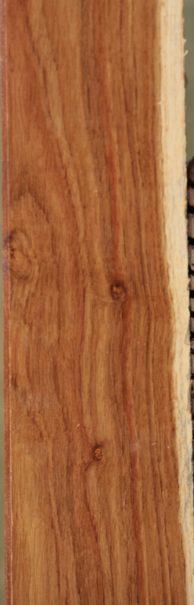 Tasmanian Blackwood Lumber