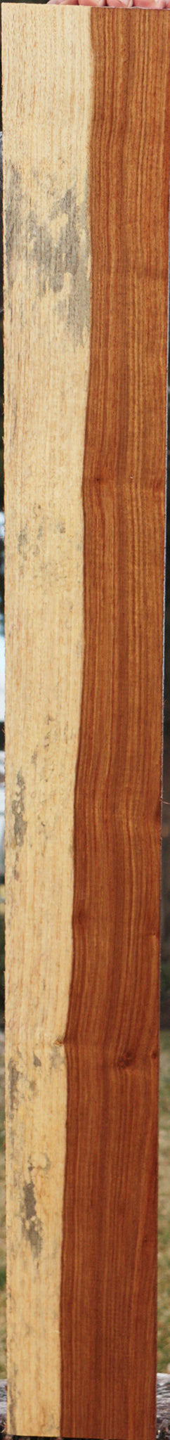 Extra Fancy Tasmanian Blackwood Lumber