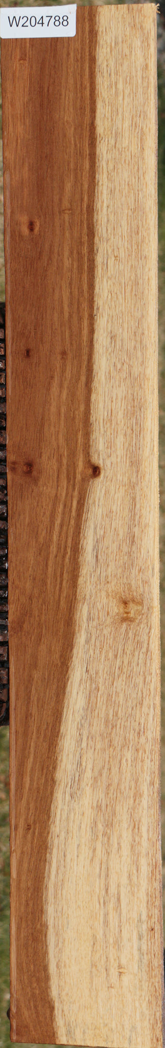 Tasmanian Blackwood Lumber