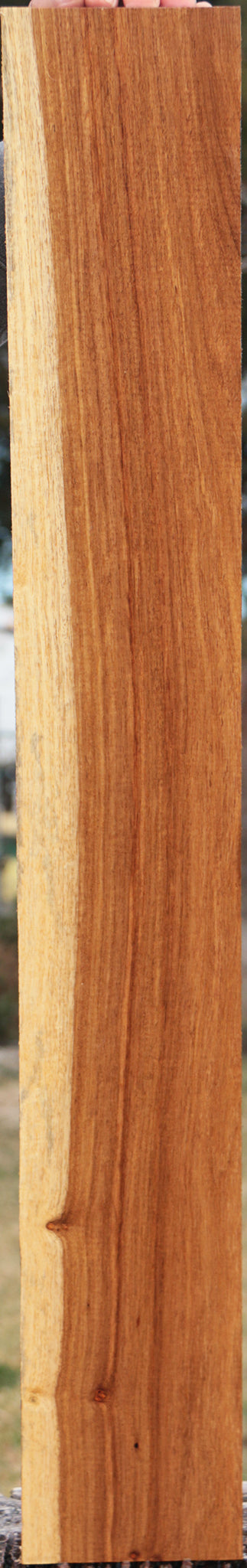 Tasmanian Blackwood Lumber