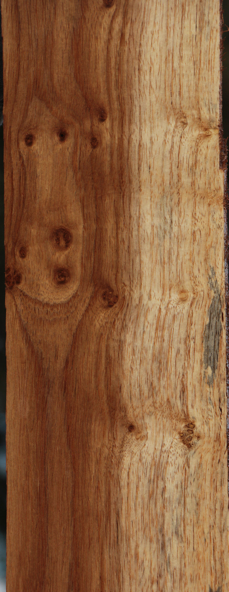 Tasmanian Blackwood Lumber
