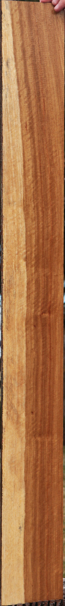 Tasmanian Blackwood Lumber