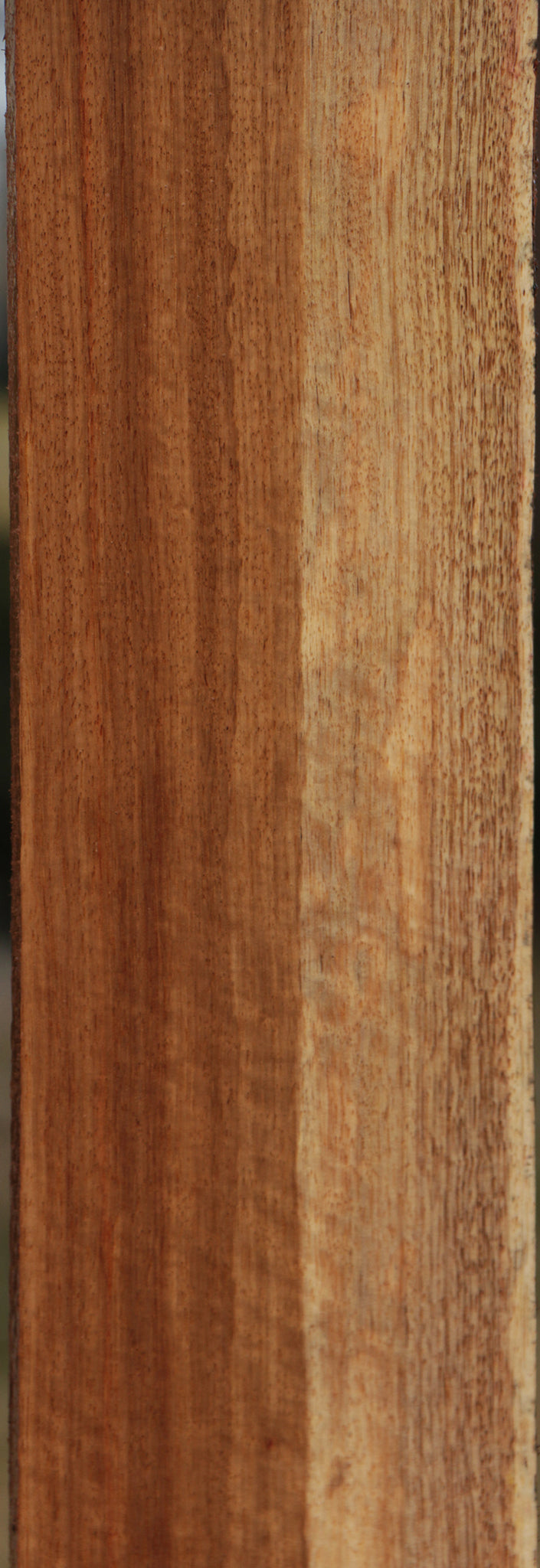Tasmanian Blackwood Lumber
