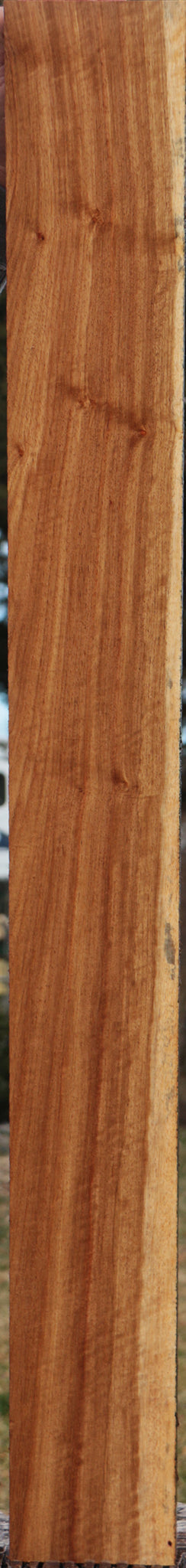 Extra Fancy Tasmanian Blackwood Lumber