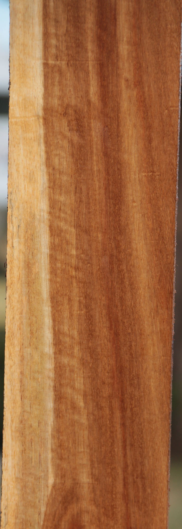 Extra Fancy Tasmanian Blackwood Lumber