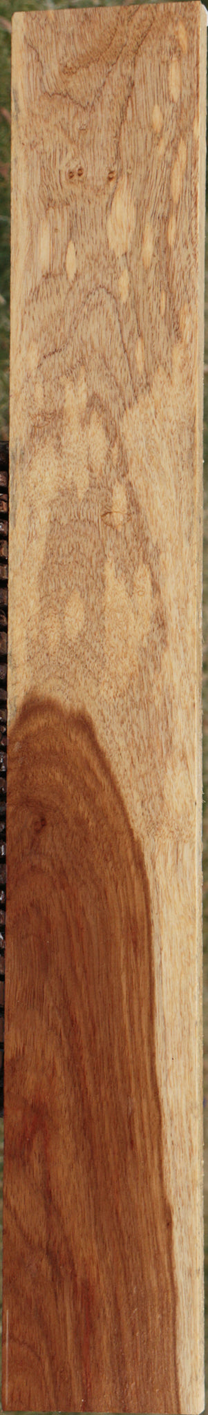 Tasmanian Blackwood Lumber