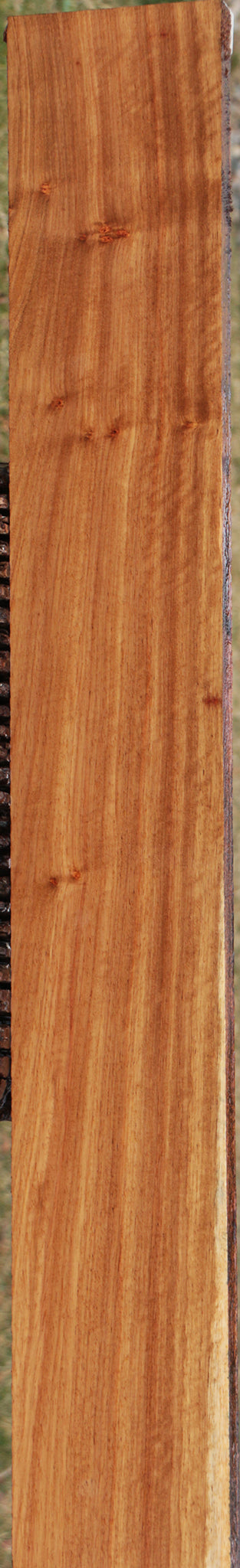Extra Fancy Tasmanian Blackwood Lumber