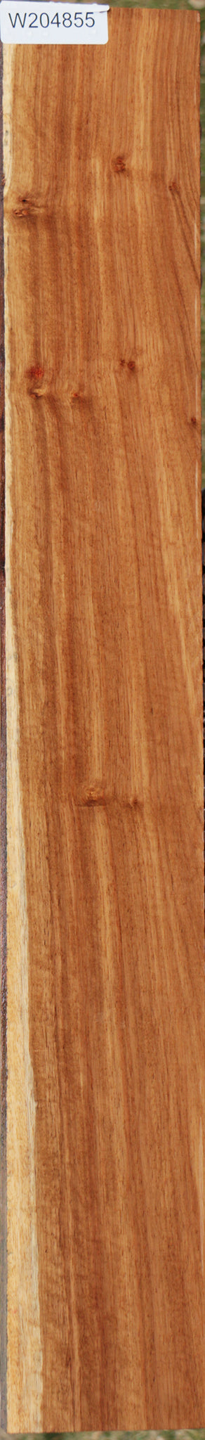 Extra Fancy Tasmanian Blackwood Lumber