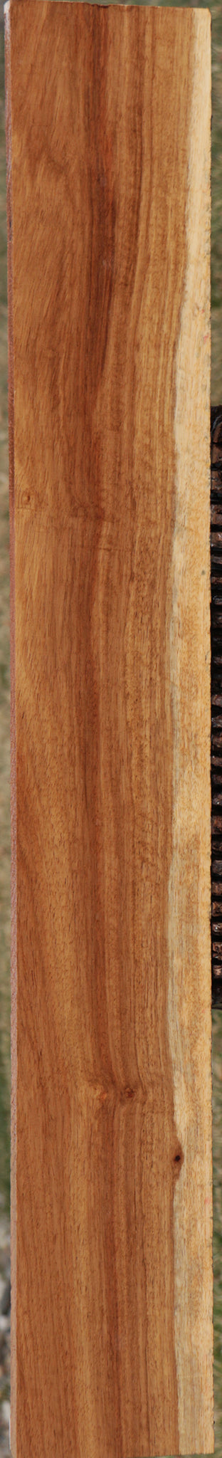 Extra Fancy Tasmanian Blackwood Lumber