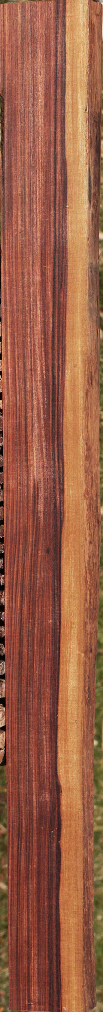 Kingwood Live Edge Lumber