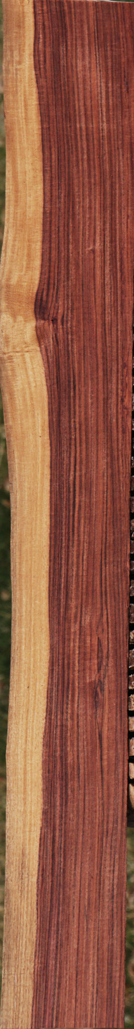 Kingwood Live Edge Micro Lumber