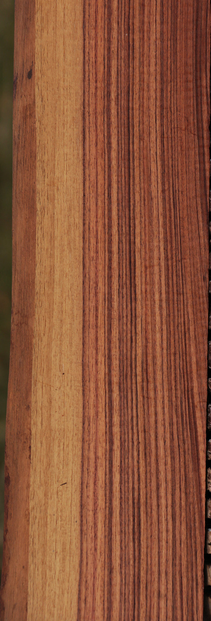 Kingwood Live Edge Lumber