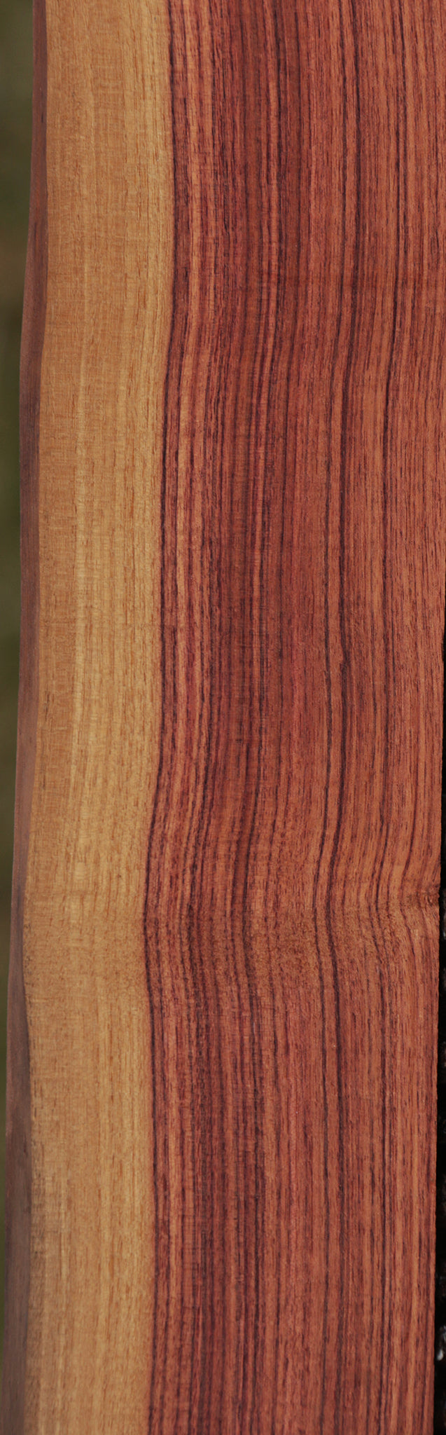 Kingwood Live Edge Lumber