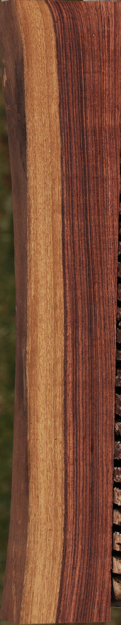 Kingwood Live Edge Lumber