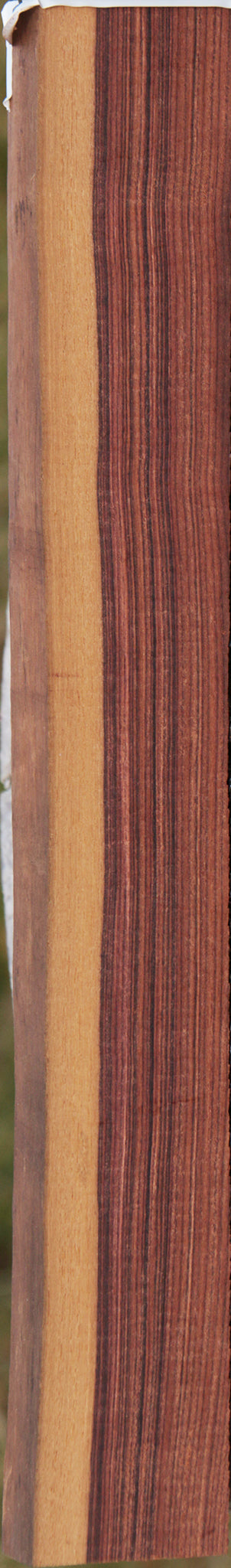 Kingwood Live Edge Lumber