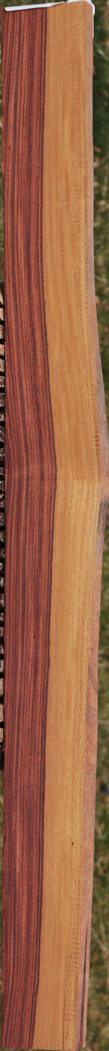 Kingwood Live Edge Micro Lumber