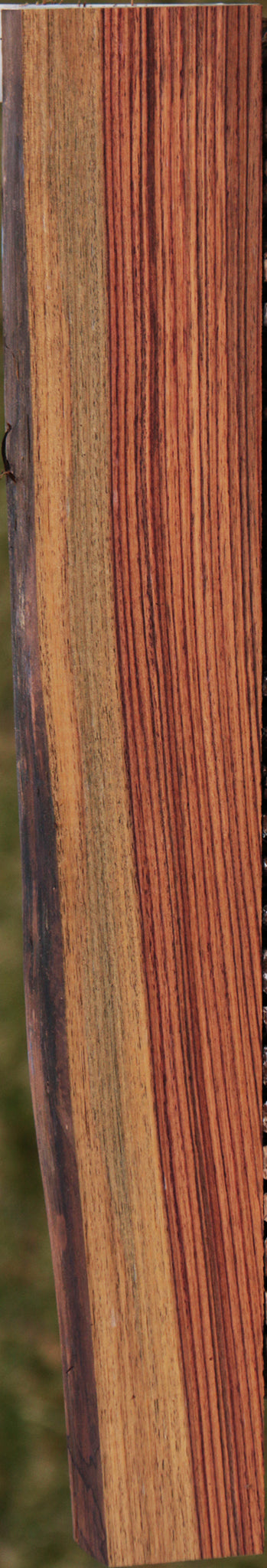 Kingwood Live Edge Lumber