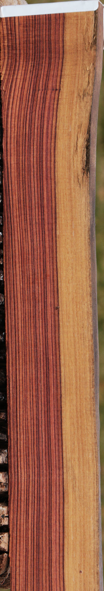 Kingwood Live Edge Lumber