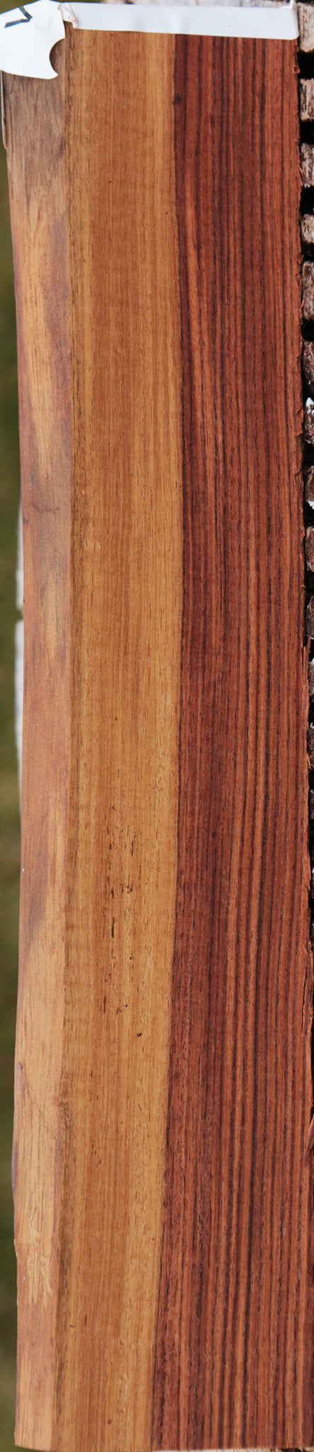 Kingwood Live Edge Lumber