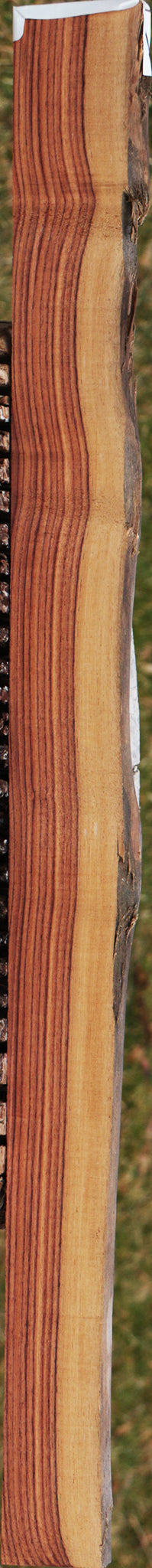 Kingwood Live Edge Lumber