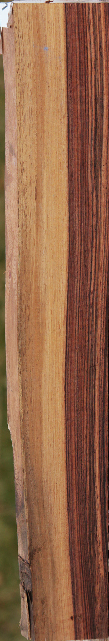 Kingwood Live Edge Lumber