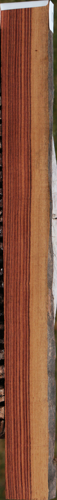 Kingwood Live Edge Lumber