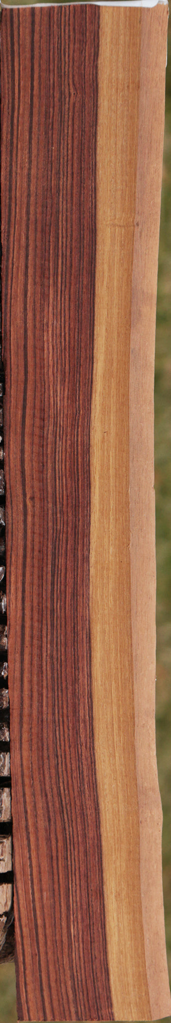 Kingwood Live Edge Micro Lumber