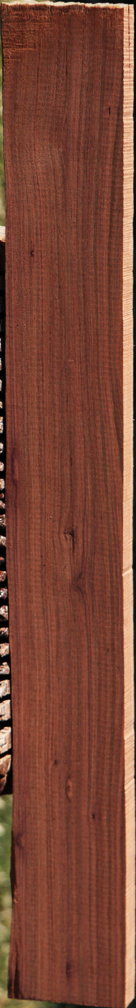 Madagascar Rosewood Live Edge Lumber
