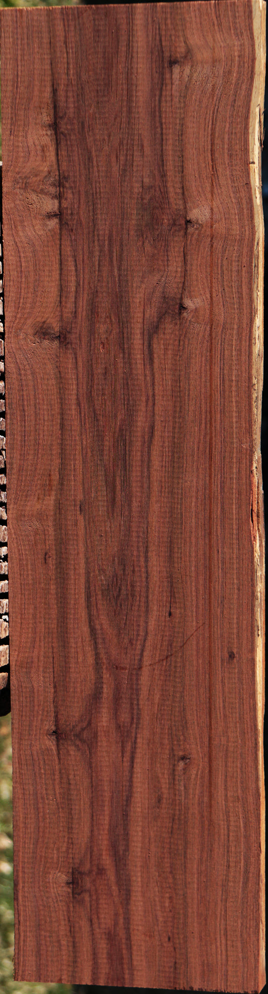 Madagascar Rosewood Live Edge Lumber