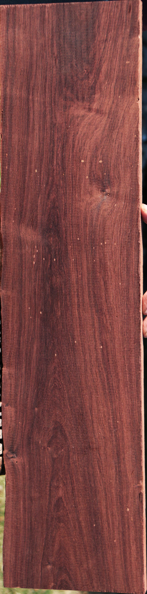 Madagascar Rosewood Live Edge Lumber