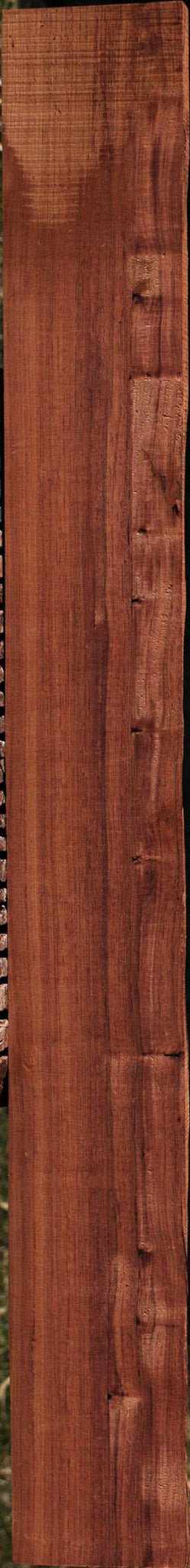 Madagascar Rosewood Live Edge Lumber