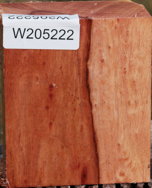 Beefwood Turning Blank