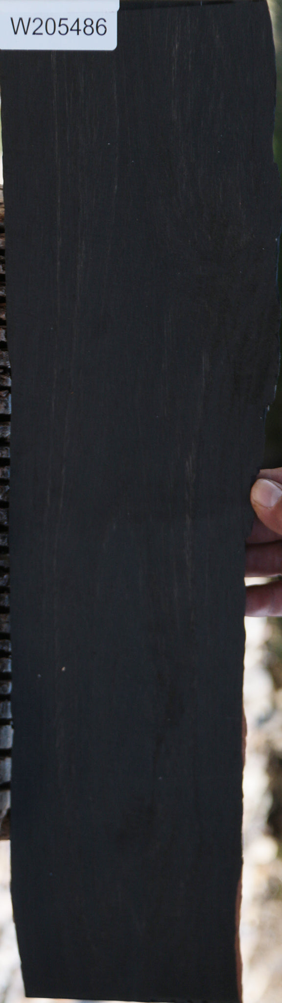 Gabon Ebony Live Edge Micro Lumber