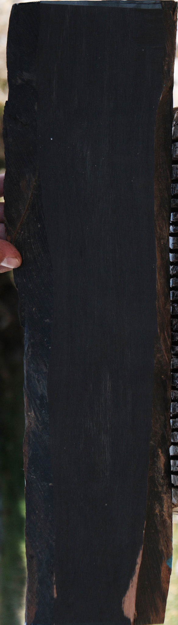 Gabon Ebony Live Edge Micro Lumber