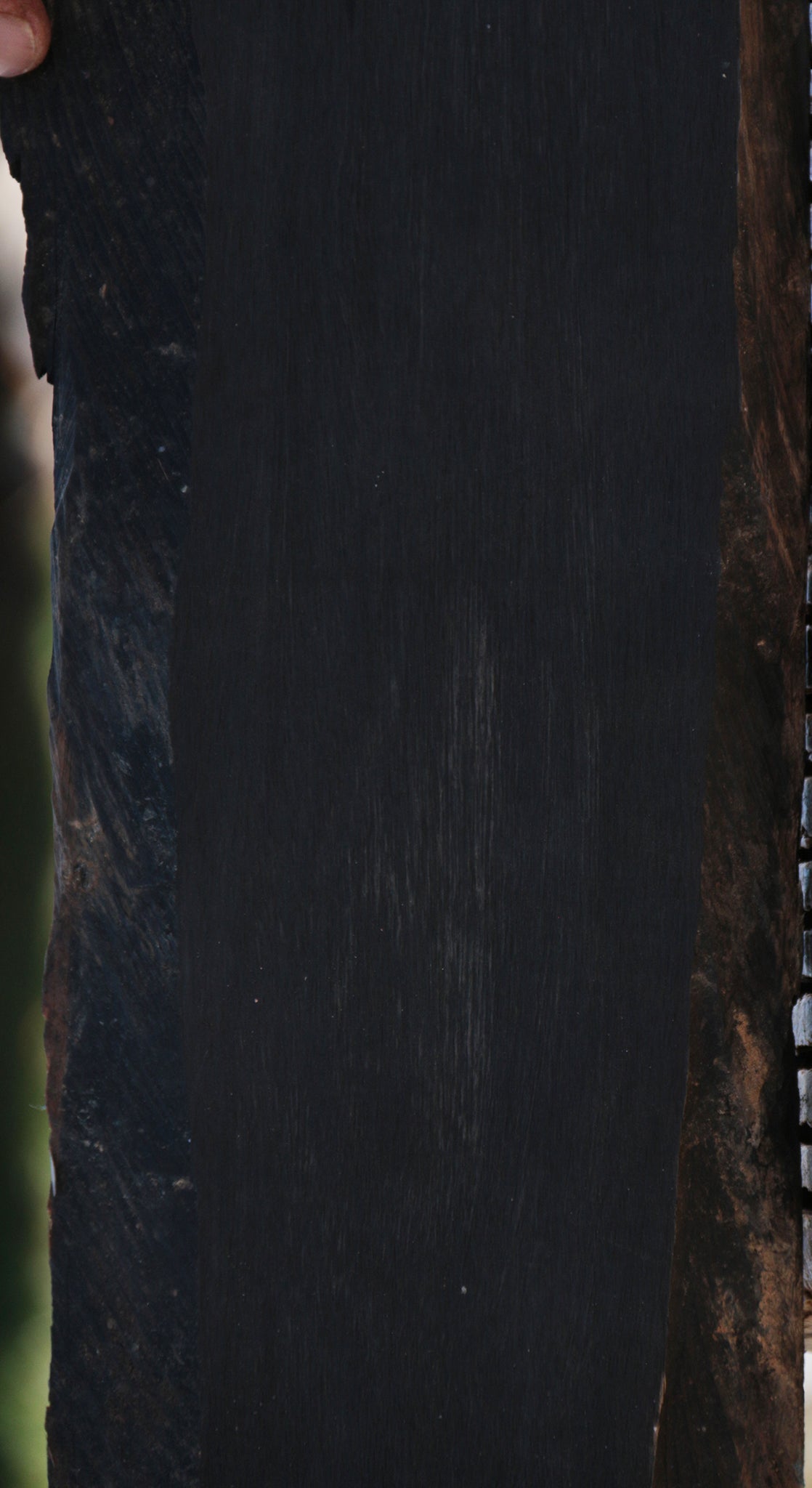 Gabon Ebony Live Edge Micro Lumber