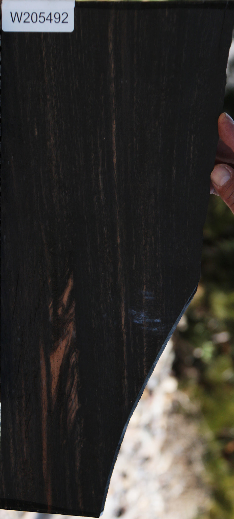 Gabon Ebony Live Edge Lumber