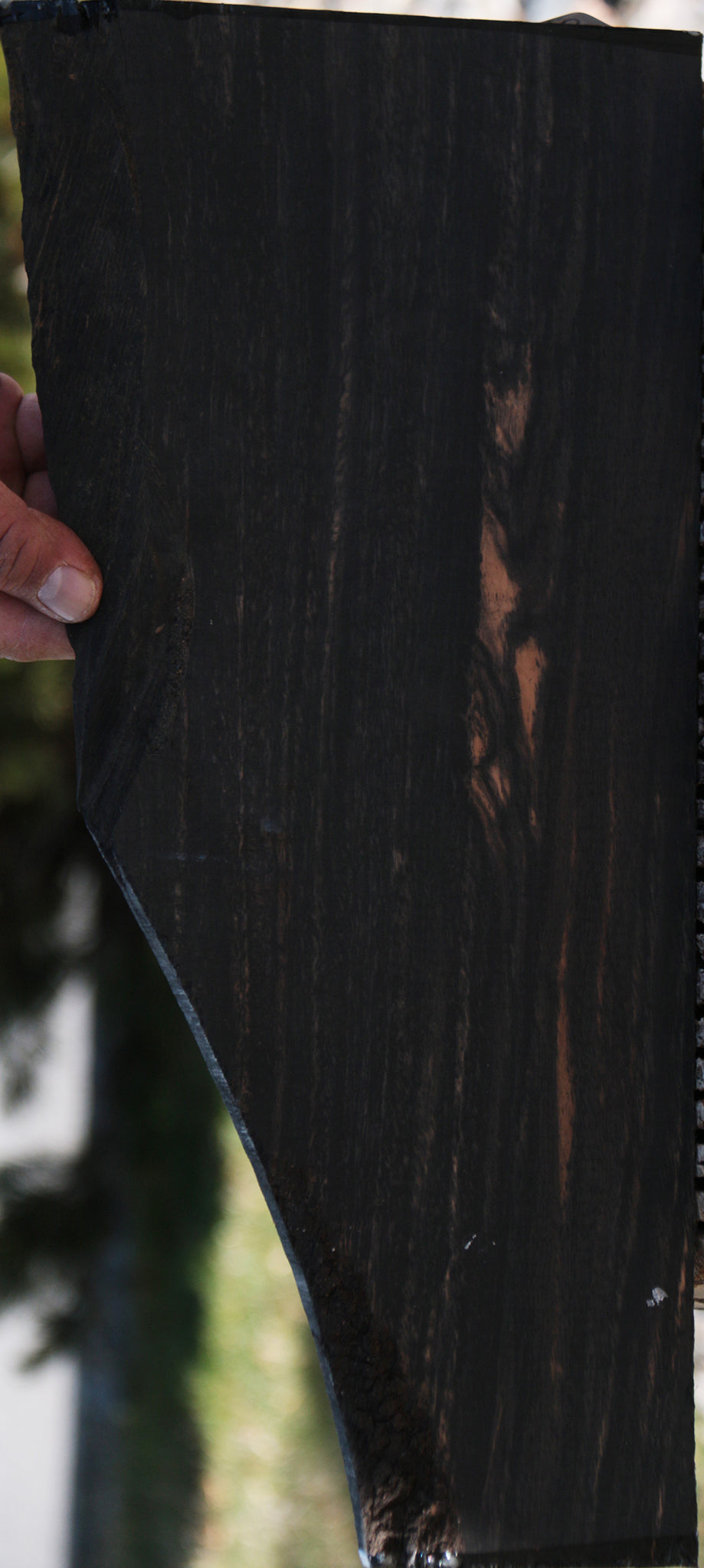 Gabon Ebony Live Edge Lumber