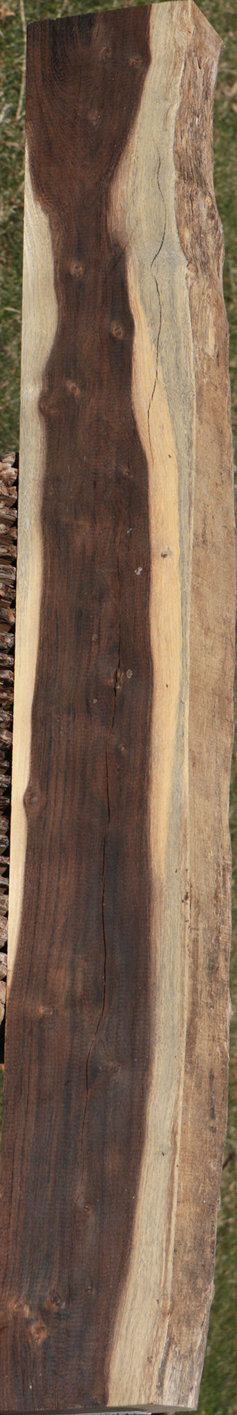 Leadwood Live Edge Lumber