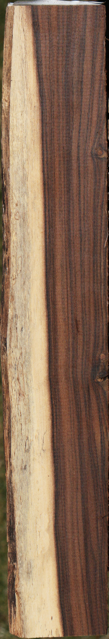 Leadwood Live Edge Micro Lumber