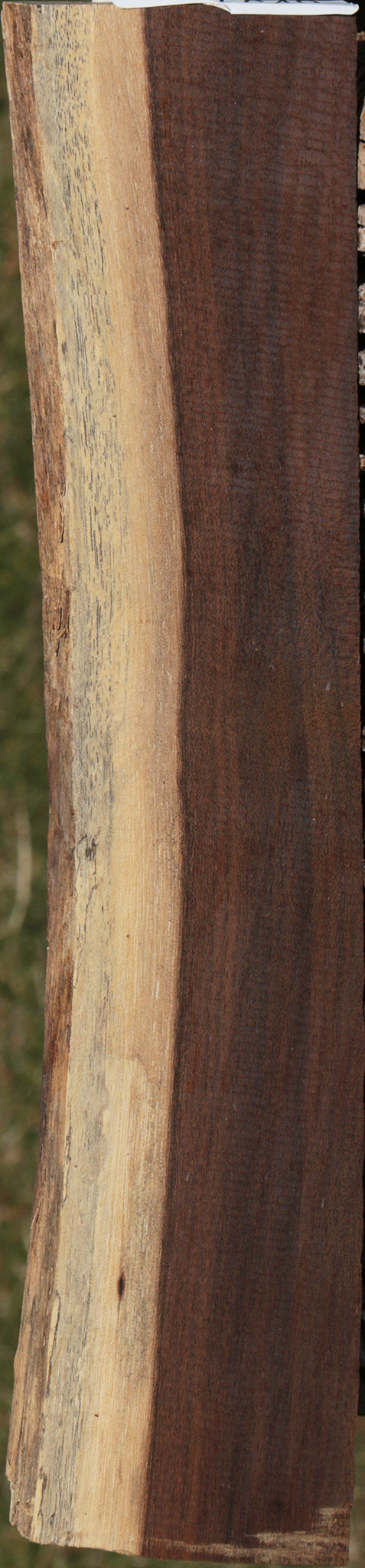 Leadwood Live Edge Micro Lumber