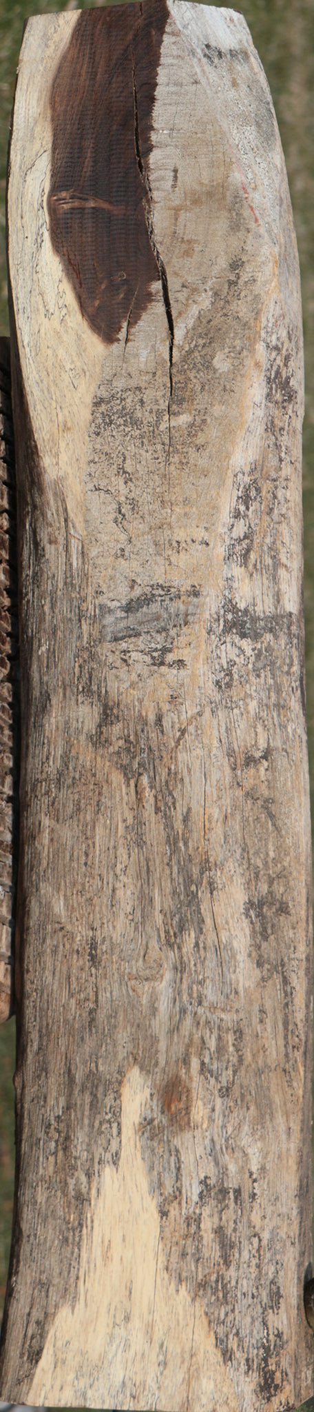 Rustic Leadwood Live Edge Lumber