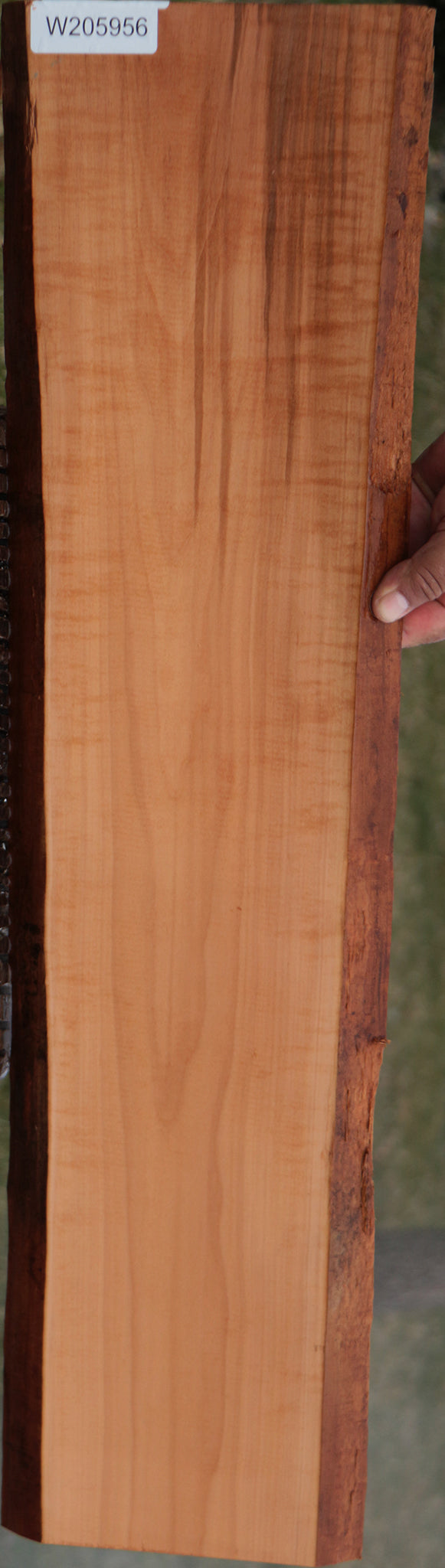 Swiss Pear Live Edge Lumber