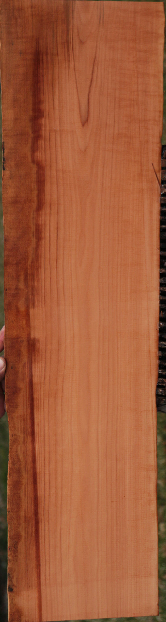 Swiss Pear Live Edge Lumber