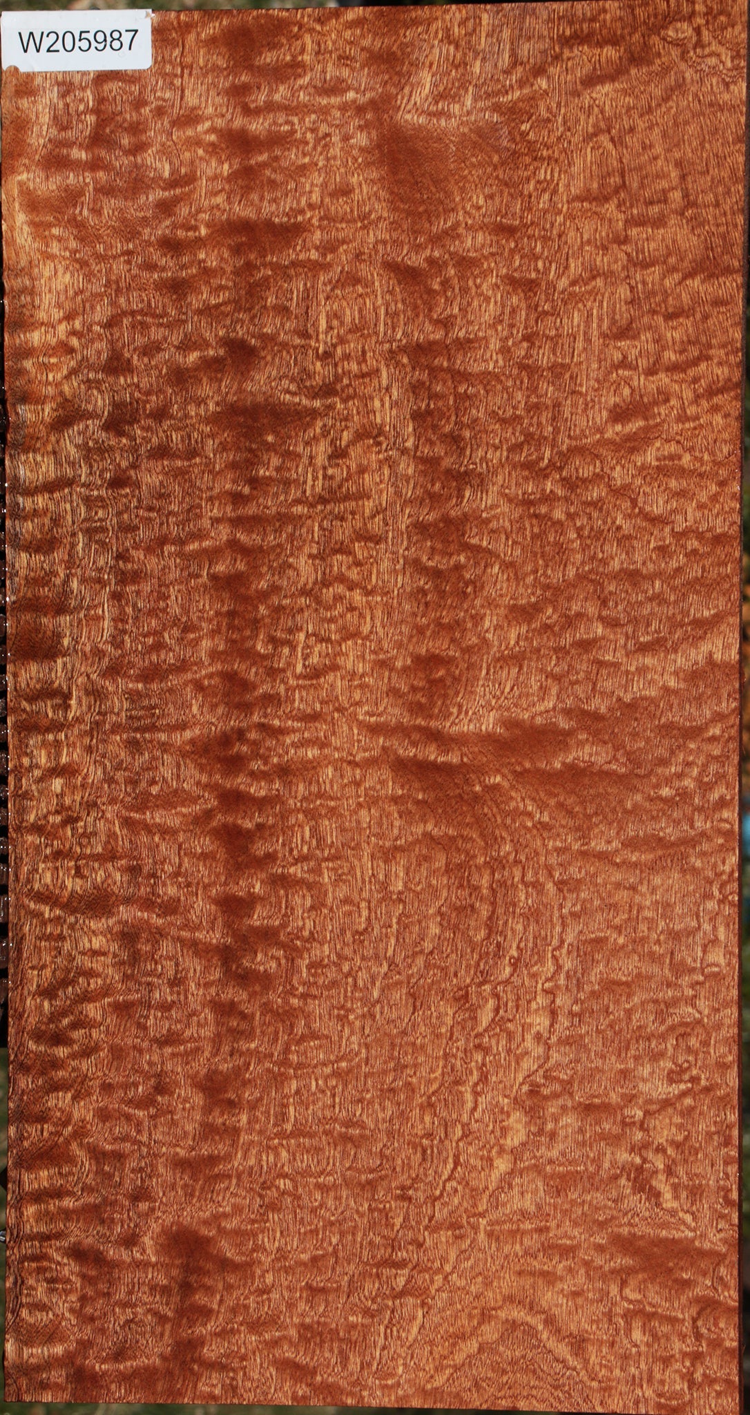 Exhibition Sapele Instrument Lumber