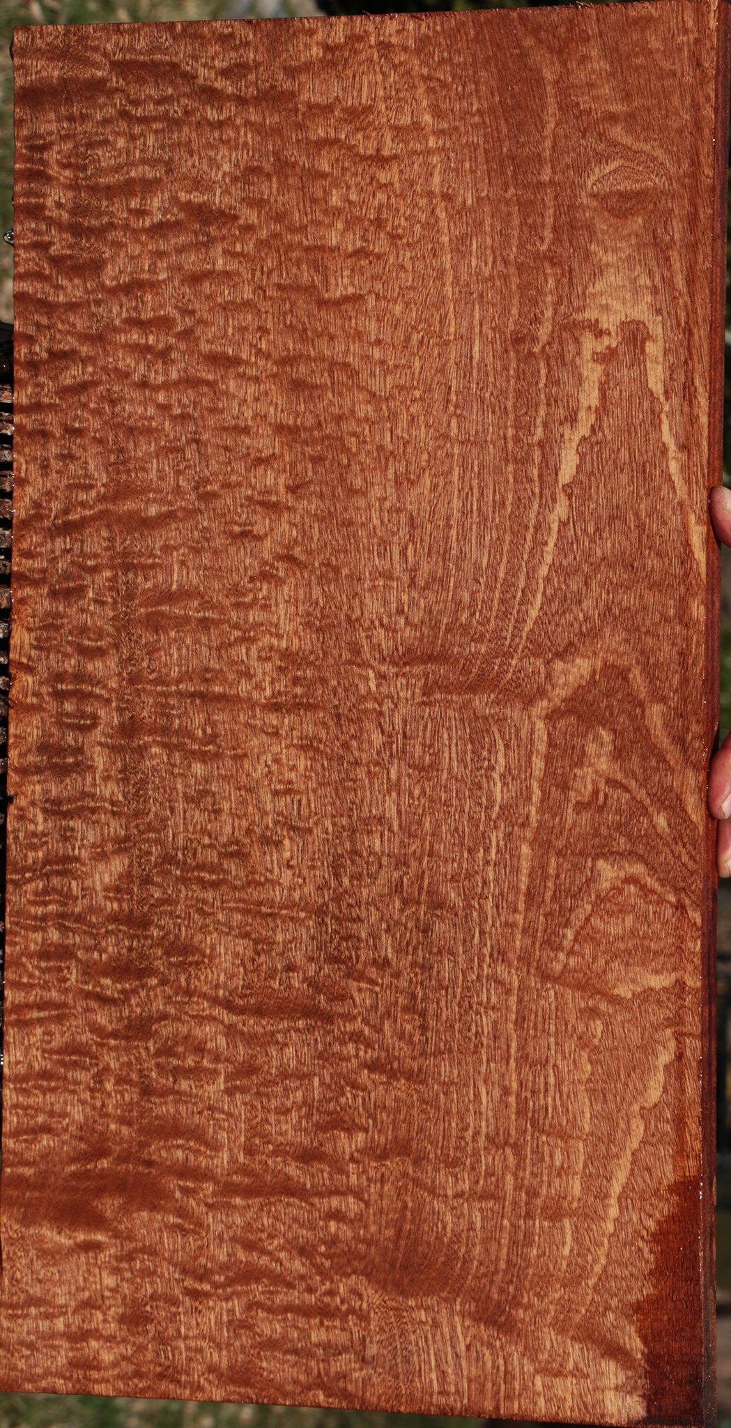 Exhibition Sapele Instrument Lumber