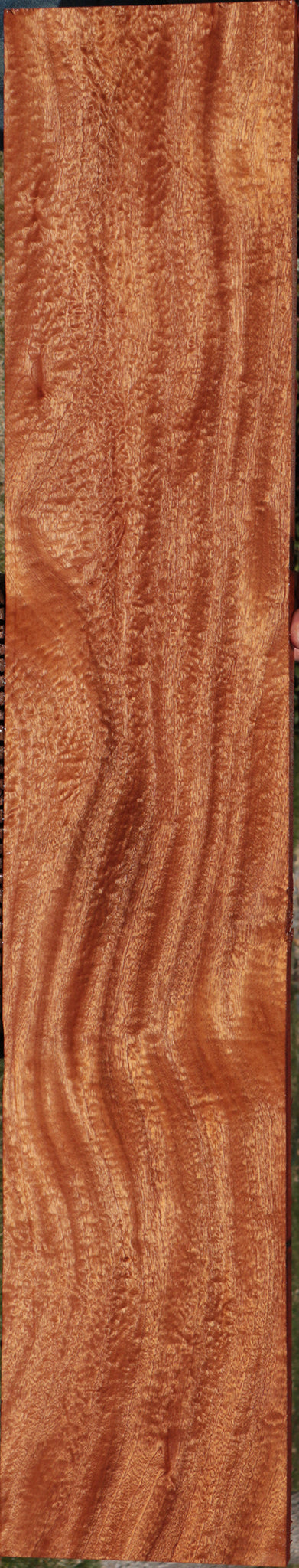 Extra Fancy Sapele Lumber