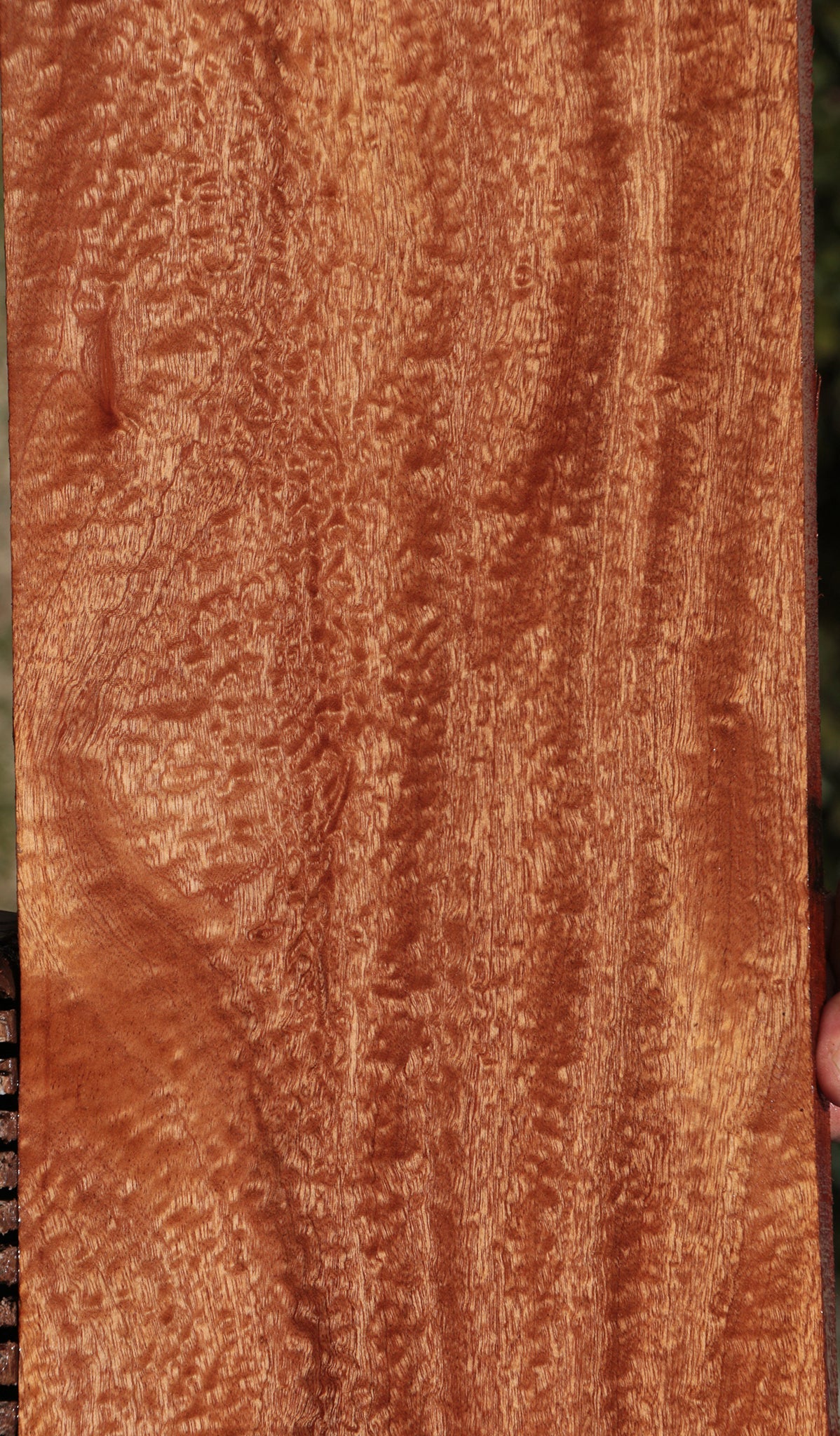 Extra Fancy Sapele Lumber