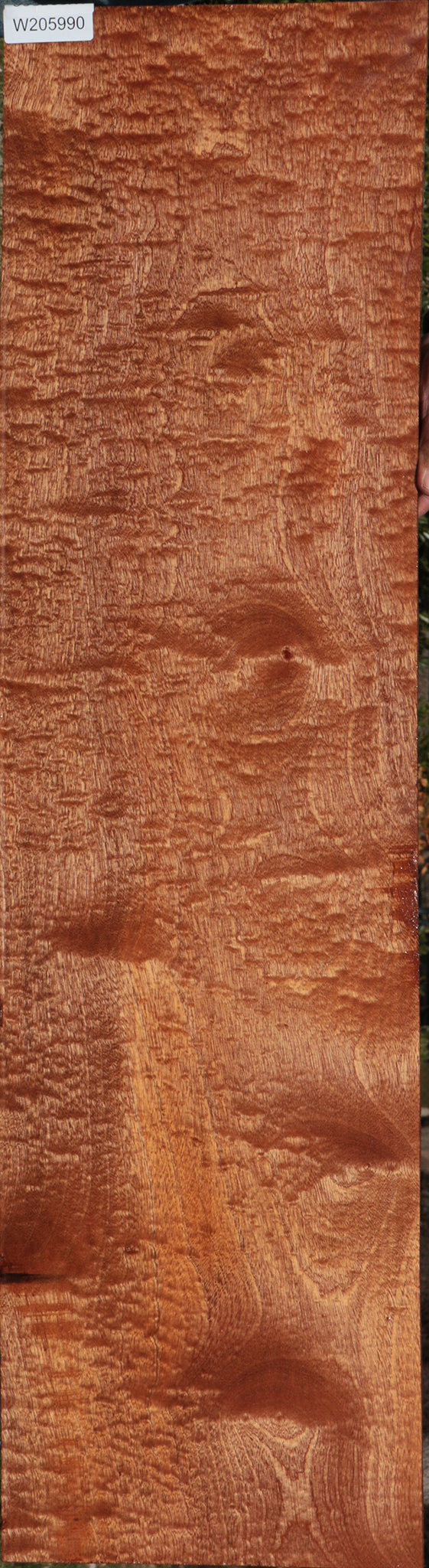 Exhibition Sapele Lumber