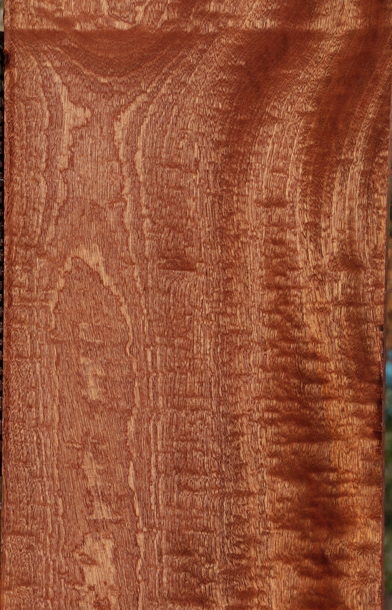 Exhibition Sapele Lumber